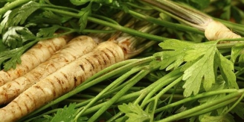 Kako posaditi peršun za rasad